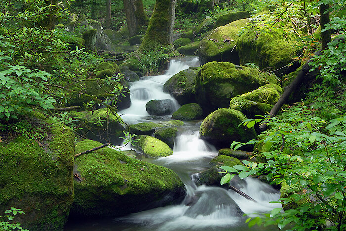 Wandern im Bayerischen Wald
